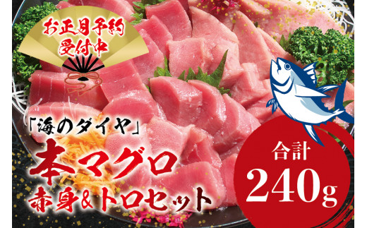 本マグロ(養殖)トロ&赤身セット 240g 【年末発送(12月25日〜30日発送)】【配達日指定不可】高級 クロマグロ  中トロ 中とろ まぐろ マグロ 鮪 刺身 赤身 柵 じゃばらまぐろ 本マグロ 本