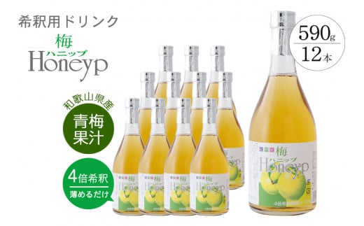 希釈用梅ドリンク 梅ハニップ 12本セット【prm014A】和歌山県古座川町47000お茶・飲料果汁・野菜飲料