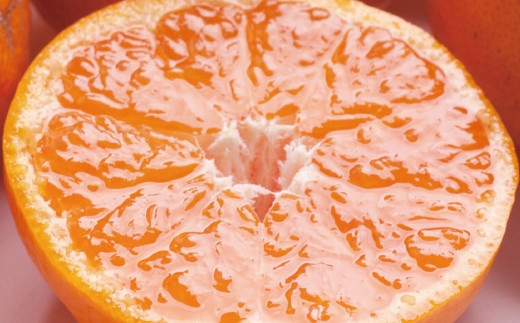 I@nLc݂1kg+30giݕ⏞jyjԂ݂zye݂zyZT[Iʁz11{菇\聄yikd003Cza̎RÍ쒬5000ʕEt[c݂