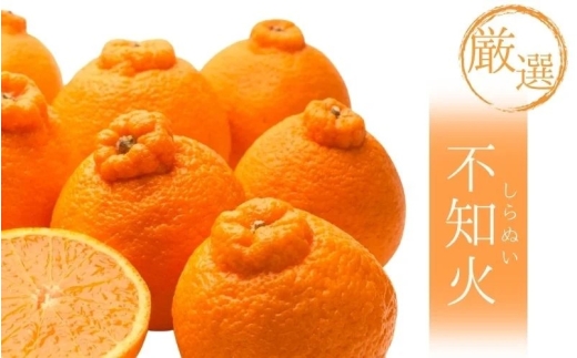 <2月より発送>【先行予約】厳選不知火7.5kg+250g(傷み補償分)【デコポンと同品種・人気の春みかん】【ikd054D】和歌山県古座川町25000果物・フルーツみかん・柑橘類