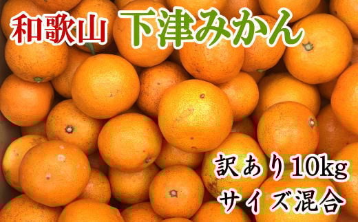 【訳あり】和歌山下津みかん約10kgご家庭用向け(サイズ混合) ※2025年11月中旬〜2026年1月中旬頃に順次発送【tec885A】和歌山県古座川町16000果物・フルーツみかん・柑橘類