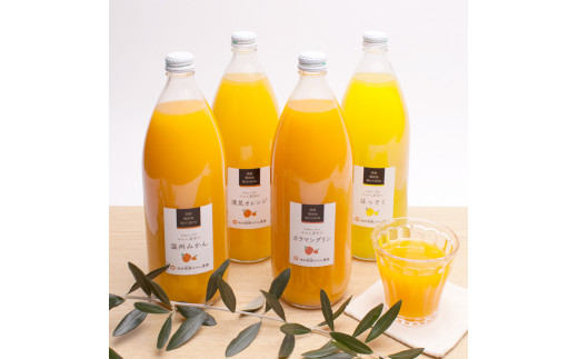 YELc̃W[Xl1000ml×4{E4yikd105Aza̎RÍ쒬15000Eʏ`E؈