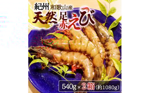 紀州和歌山産天然足赤えび540g×2箱(270g×4パック)化粧箱入 ※2025年11月末頃〜2026年1月下旬頃順次発送予定(お届け日指定不可)/海老 エビ えび クマエビ 足赤 天然 おかず【uot773A】和歌山