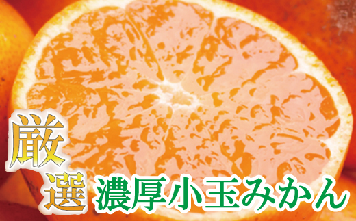 厳選 小玉な有田みかん7.5kg+225g(傷み補償分)【光センサー選果】<11月上旬より順次発送予定>【ikd023-2B】和歌山県古座川町14000果物・フルーツみかん・柑橘類