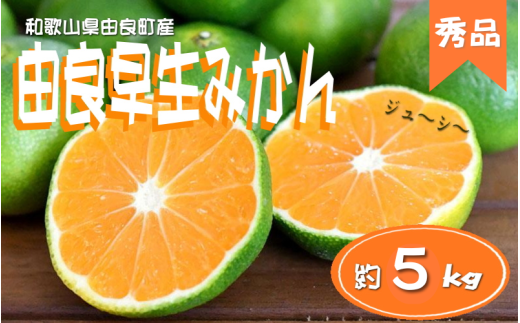≪秀品≫和歌山由良町産 由良早生みかん 約5kg サイズおまかせ(L〜2S) いずれかお届け【sml106C】和歌山県古座川町17000果物・フルーツみかん・柑橘類