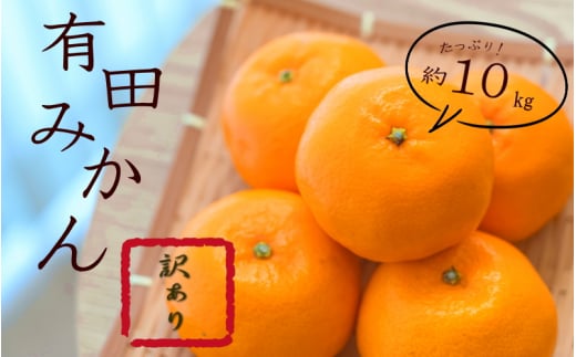 紀州有田みかん 約10kg 訳あり 訳あり キズ 御家庭用 サイズ混合 【sml110C】和歌山県古座川町20000果物・フルーツみかん・柑橘類