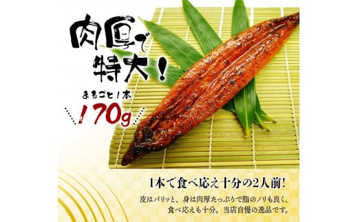 【全6回定期便】大型サイズ ふっくら柔らか 国産うなぎ蒲焼き 2尾×6回 計12尾 約2040g /  うなぎ ウナギ 鰻 国産 蒲焼 蒲焼き たれ 人気 定期便 ふるさと納税【tkb310】和歌山県古座川町138000魚介