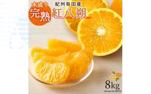【先行予約】紀州有田産木成り完熟紅八朔8kg ※2026年2月末頃〜2026年3月中旬頃(お届け日指定不可)/ みかん 不知火 和歌山 フルーツ 有田【uot795】和歌山県古座川町19000果物・フルーツみか