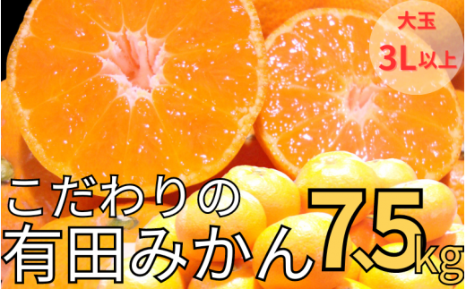 【農家直送】有田みかん 約7.5kg 大玉3L以上 有機質肥料100% ※2025年12月初旬〜1月中旬に順次発送(お届け日指定不可)/みかん ミカン 温州みかん 柑橘 有田 和歌山 産地直送【nuk158C】和歌山県古