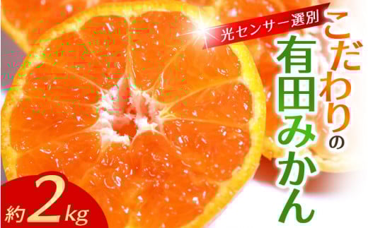 【2025年12月発送予約分】\光センサー選別/農家直送 こだわりの有田みかん 約2kg【ご家庭用】【12月発送】みかん ミカン 有田みかん 温州みかん 柑橘 有田 和歌山 ※北海道・沖縄・離島配
