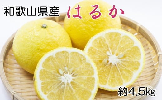 【さわやか柑橘】和歌山県産はるかみかん約4.5kg(サイズ混合 秀品)※2026年2月下旬〜2026年3月下旬頃順次発送【tec953】和歌山県古座川町12000果物・フルーツみかん・柑橘類