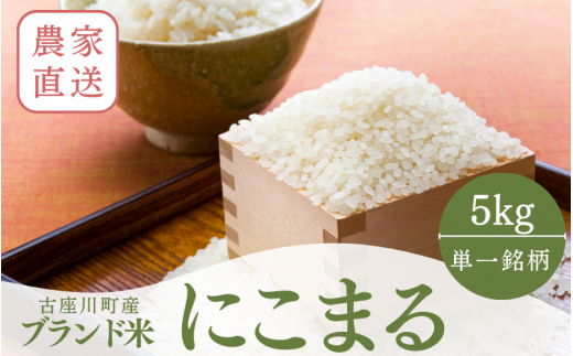 秘境の地からお届けする あゆみファームのお米 にこまる 5kg 令和7年産【10月下旬頃から順次発送】/ 米 お米 にこまる 5kg 精米 和歌山【aym013】和歌山県古座川町18000米・パン白米