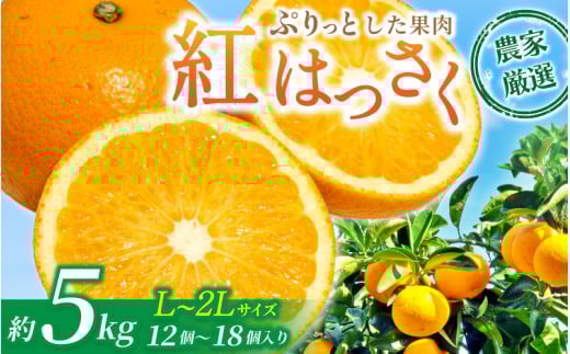 【先行予約】【数量わずか】あふれる果汁! 希少な紅はっさく 秀品 5kg L〜2L 2026年1月初旬〜2026年3月末頃に順次発送予定(お届け日指定不可)/ ハッサク 八朔 紅八朔 紅はっさく フルーツ