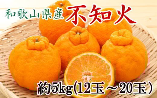和歌山県産不知火約5kg(12玉〜20玉おまかせ) ※2026年2月下旬〜2026年4月中旬頃に順次発送予定(日付指定不可)【tec955】和歌山県古座川町16000果物・フルーツみかん・柑橘類
