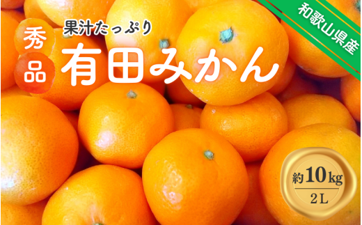 紀州有田みかん 秀品 約10kg 2Lサイズ ※2025年11月下旬〜2026年1月中旬頃より順次発送予定【sml129B】和歌山県古座川町19000果物・フルーツみかん・柑橘類