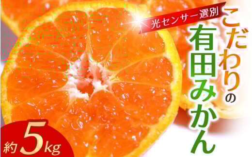 【2025年12月発送】\光センサー選別/農家直送 【家庭用】こだわりの有田みかん 約5kg+250g(傷み補償分) みかん ミカン 有田みかん 温州みかん 柑橘 有田 和歌山 ※北海道・沖縄・離島配送