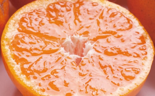 I@nLc݂7.5kg+225giݕ⏞jyjԂ݂zye݂zyZT[Iʁz11{菇\聄yikd171za̎RÍ쒬23000ʕEt[c݂