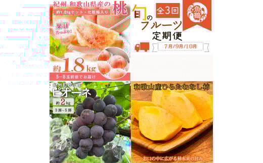 【全3回】紀州和歌山産旬のフルーツ定期便 (桃・ピオーネ・ひらたねなし柿)【tkb371】和歌山県古座川町51000果物・フルーツもも・すもも