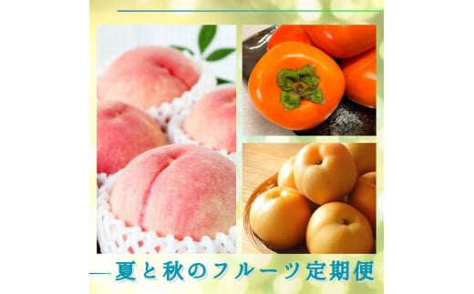 yS3zĂƏH̃t[c (EEЂ炽˂Ȃ`) ytkb372za̎RÍ쒬45000ʕEt[cE