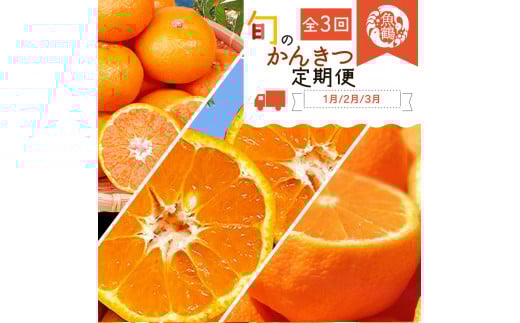 【全3回】紀州和歌山産旬の柑橘定期便(みかん・不知火・せとか)【tkb382】和歌山県古座川町51000果物・フルーツみかん・柑橘類