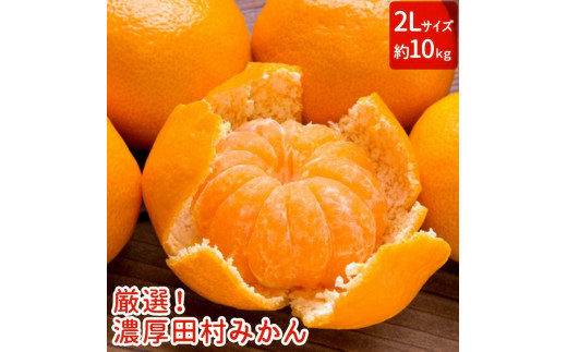 【和歌山特産品】【プレミアムブランド】絶品!濃厚田村みかん 〔2Lサイズ〕 秀品 約10kg ※2024年11月下旬〜12月下旬頃に順次発送予定 ※北海道・沖縄・離島への配送不可【ard219】和歌山県古