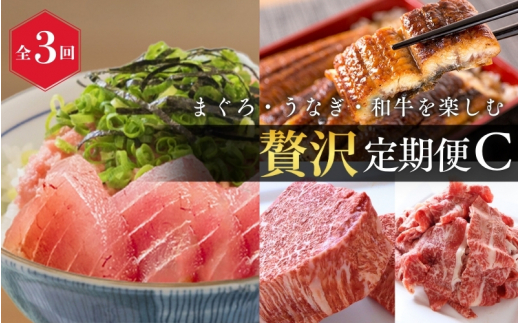【全3回】まぐろ・うなぎ・和牛を楽しむ贅沢定期便C / 鮪 マグロ 刺身 たたき 鰻 ウナギ 蒲焼き 熊野牛 肉 牛肉 和牛 黒毛和牛 ヒレ シャトーブリアン ステーキ 赤身 こま切れ 【tkb388】和歌