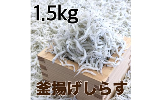釜揚げしらす1.5kg(500g×3パック) / シラス 厳選 小分け 冷蔵便【dig013】和歌山県古座川町23000魚介・海産物その他 魚介・海産物
