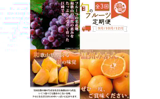 【全3回】紀州和歌山産旬のフルーツセット(巨峰・ひらたね・みかん)  / 果物定期便 フルーツ定期便 みかん オレンジ 柑橘 くだもの 果物 かき カキ ぶどう 巨峰 【tkb397】和歌山県古座川町510