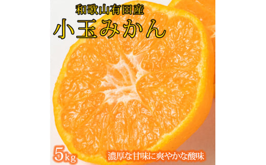 【有田の小粒みかん5kg (S〜3Sサイズ混合) ※2025年11月下旬頃〜12月下旬頃に順次発送予定 / みかん ミカン 蜜柑 温州みかん 柑橘 フルーツ 果物 くだもの 和歌山【uot845】和歌山県古座川町17000