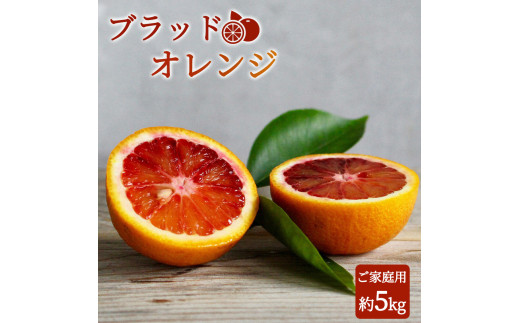希少な柑橘!紀州有田産ブラッドオレンジ約5kg 【ご家庭用】※2026年3月上旬頃〜3月中旬頃に順次発送 (お届け日指定不可) 【uot853】和歌山県古座川町20000果物・フルーツみかん・柑橘類
