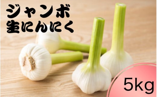 令和7年度産 秘境の地からお届けする あゆみファームのご家庭用新ジャンボ生にんにく 5kg【6月中旬〜7月上旬から順次発送】/ にんにく ニンニク ジャンボにんにく 予約受付 ガーリック