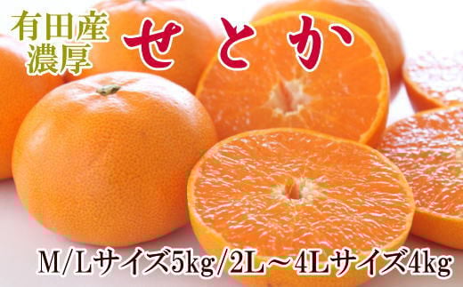 一度は食べていただきたい「有田産のせとか」約4〜5kg(サイズおまかせ)※2026年2月中旬〜2026年3月上旬頃に順次発送【tecj1024】和歌山県古座川町23000果物・フルーツみかん・柑橘類