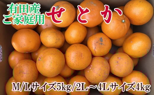 (訳あり・ご家庭用)一度は食べていただきたい「有田産のせとか」約4kg〜5kg ※2026年2月中旬〜2026年3月上旬頃に順次発送【tecj1032】和歌山県古座川町20000果物・フルーツみかん・柑橘類