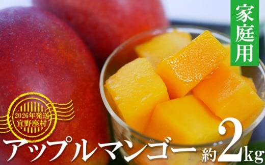 【2026年発送】マンゴーの拠点産地「宜野座村」の家庭用アップルマンゴー(約2kg) アーウィン 果物 甘い 夏 濃厚 お取り寄せ Mango ランキング 完熟 お気に入り 美味しい 人気 おすすめ 地元