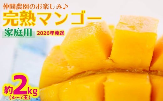 【2026年発送】仲間農園のお楽しみ(家庭用)完熟マンゴー約2kg(4〜7玉) アーウィン 果物 甘い 夏 濃厚 ギフト Mango ランキング 完熟 お気に入り 収穫 人気 甘味 フルーツ 沖縄県 先行予約