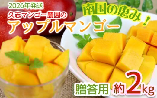 【2026年発送】南国の恵み!久志マンゴー農園のアップルマンゴー贈答用(約2kg) アーウィン 果物 甘い 夏 濃厚 ギフト Mango ランキング 完熟 お気に入り 美味しい 人気 甘味 フルーツ 沖縄県