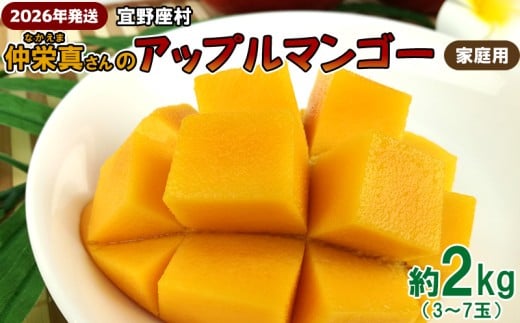 【2026年発送】宜野座村 仲栄真さんのアップルマンゴー家庭用(約2kg) アーウィン 果物 甘い 夏 濃厚 お取り寄せ Mango ランキング 完熟 お気に入り 美味しい 人気 おすすめ フルーツ 沖縄県