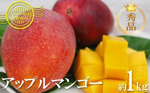 【2026年発送】マンゴーの拠点産地「宜野座村」の秀品アップルマンゴー(約1kg) アーウィン 果物 甘い 夏 濃厚 ギフト Mango ランキング 完熟 お気に入り 美味しい 人気 おすすめ 地元 沖縄県