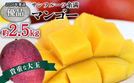 【2026年発送】サンフルーツ糸満マンゴー貴重な大玉 優品 約2.5kg 産地直送 先行予約 フルーツ 果物 くだもの アップルマンゴー アップル アーウィン種 濃厚 デザート 贅沢 旬の果物 甘い お
