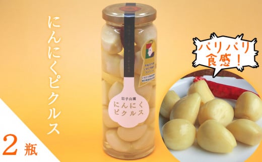 R[ ɂɂsNX 120g 2r ^ ɂɂ jjN sNX yK[bNz茧s10000ZbgE؁EHHiЕE~EL`