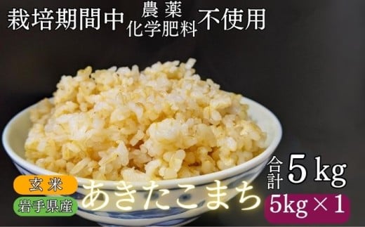 【 2025年 11月上旬より発送】 岩手県産 新米 あきたこまち 玄米 5kg / 農薬 化学肥料 :栽培期間中 不使用 武田家のお米【米農家 仁左ェ門】 米 こめ コメ ご飯 ライス おにぎり 弁当 単一原