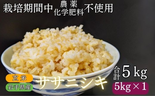 y 2025N 11{蔭z 茧Y V TTjVL  5kg ^ _ w엿 F͔|Ԓ sgp cƂ̂āyĔ_ mFz   R  CX ɂ ٓ Pꌴ