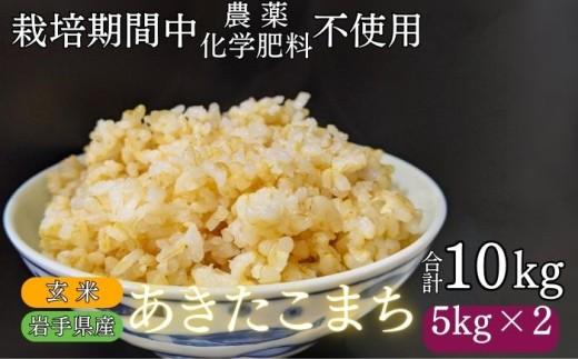 【 2025年 11月上旬より発送】 岩手県産 新米 あきたこまち 玄米 10kg / 農薬 化学肥料 :栽培期間中 不使用 武田家のお米【米農家 仁左ェ門】 米 こめ コメ ご飯 ライス おにぎり 弁当 単一原