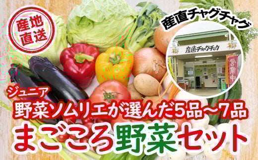 滝沢まごころ 野菜セット 5品 〜 7品 【滝沢産業開発】/ 野菜 やさい セット 詰め合わせ  詰め合せ 詰合せ 詰合わせ 果物 加工品 新鮮 美味しい 産直 チャグチャグ 旬 季節の野菜 地場産品