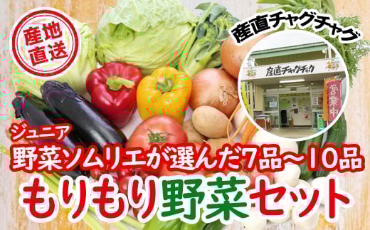 滝沢もりもり 野菜セット 7品 〜 10品 【滝沢産業開発】/ 野菜 やさい セット 詰め合わせ 詰め合せ 詰合せ 詰合わせ 果物 加工品 新鮮 美味しい 産直 チャグチャグ 旬 季節の野菜 地場産品