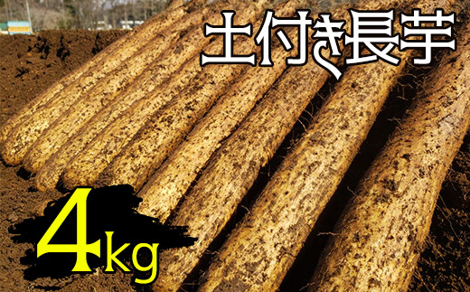 y 2025N 12{蔭Jn zϐFȂI yt  4kg y}z ^  C Ȃ R ܂ }C   C t H   Z ZH ֗