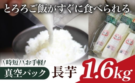 y 2025N 12{蔭Jn zHׂƂɂgI ^pbN  1.6kg y}z ^  C Ȃ R ܂ }C   C t H  Jb