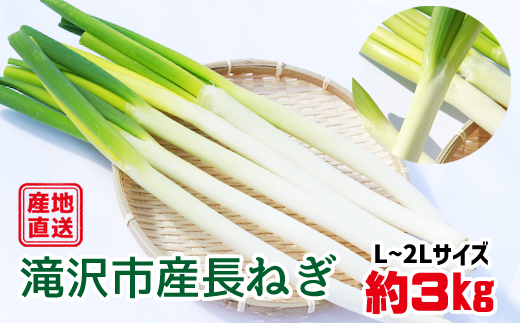 長ねぎ 約 3kg ( L 〜 2L 20本 〜 30本 程度 )【滝沢産業開発株式会社】/ 3kg 3kg 3キロ 3キロ 野菜 やさい 長ネギ 長葱 ねぎ ネギ 葱 数量限定 期間限定 季節限定 旬 旬野菜 新鮮 産地直送