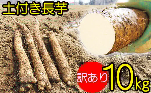 【 2025年 12月上旬より発送開始 】変色しない! 訳あり 土付き 長芋 10kg 【マル庄】 / 長いも 長イモ ながいも 山芋 やまいも ヤマイモ 芋 いも イモ 春野菜 秋野菜 生野菜 根菜 訳あり 訳ア