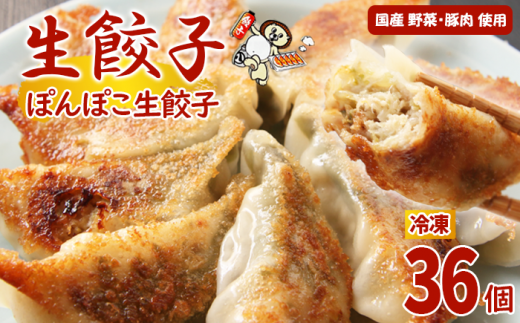 冷凍餃子 ぽんぽこ生餃子 36個入【生餃子専門店】/ 餃子 ギョーザ 惣菜 おかず岩手県滝沢市5000鍋セット・総菜・加工食品総菜